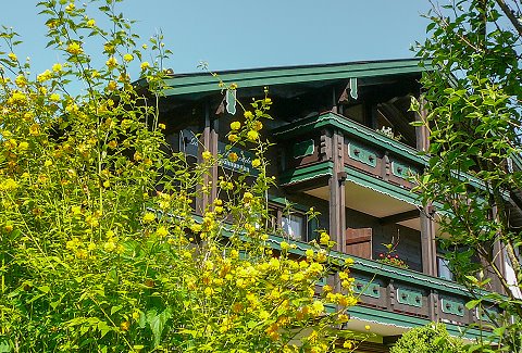 Ferienwohnungen Gästehaus Schelble haus2.jpg